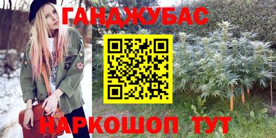 индика Гусь-Хрустальный