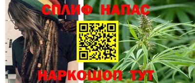 индика Гусь-Хрустальный